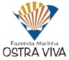 Patrocino